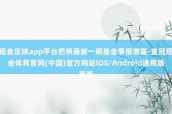 现金足球app平台把柄最新一期基金季报泄露-皇冠现金体育官网(中国)官方网站IOS/Android通用版