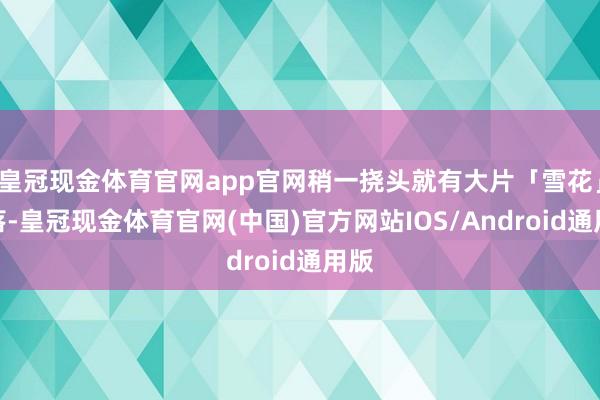 皇冠现金体育官网app官网稍一挠头就有大片「雪花」掉落-皇冠现金体育官网(中国)官方网站IOS/Android通用版