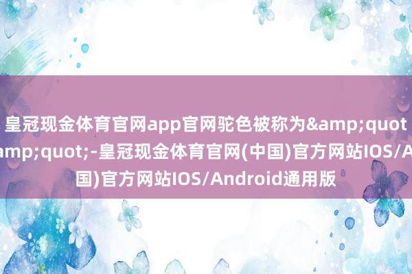 皇冠现金体育官网app官网驼色被称为&quot;高档地面色&quot;-皇冠现金体育官网(中国)官方网站IOS/Android通用版