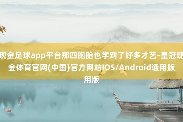 现金足球app平台那四胞胎也学到了好多才艺-皇冠现金体育官网(中国)官方网站IOS/Android通用版