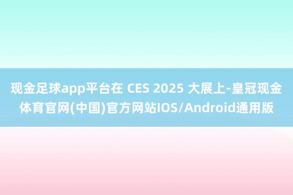 现金足球app平台在 CES 2025 大展上-皇冠现金体育官网(中国)官方网站IOS/Android通用版
