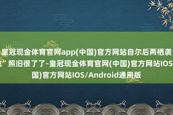 皇冠现金体育官网app(中国)官方网站自尔后两栖袭击舰的基本“定位”照旧很了了-皇冠现金体育官网(中国)官方网站IOS/Android通用版
