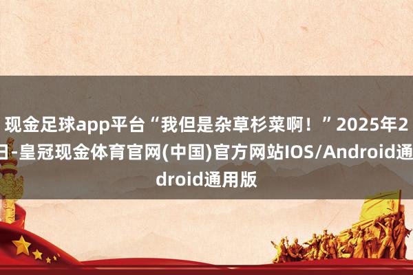 现金足球app平台“我但是杂草杉菜啊！”2025年2月3日-皇冠现金体育官网(中国)官方网站IOS/Android通用版