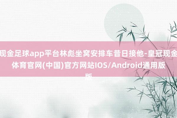 现金足球app平台林彪坐窝安排车昔日接他-皇冠现金体育官网(中国)官方网站IOS/Android通用版
