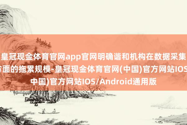 皇冠现金体育官网app官网明确谐和机构在数据采集、加工、存储等方面的拖累规模-皇冠现金体育官网(中国)官方网站IOS/Android通用版